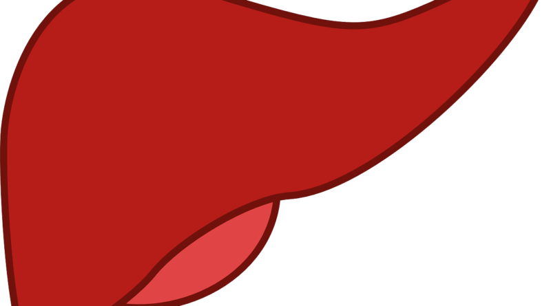 liver