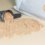 The Best Protein Shakes for Weight Loss: Things You Must Know