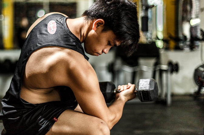 muscle building